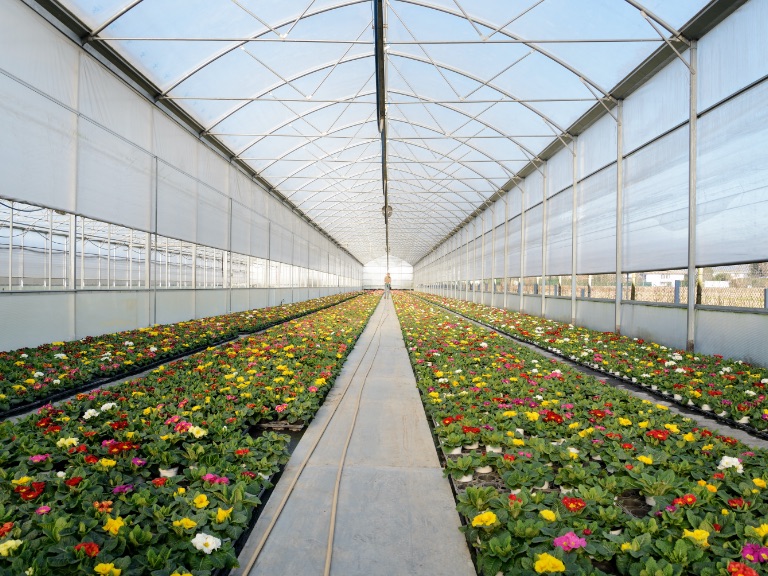 Floriculture image Calorflex North America